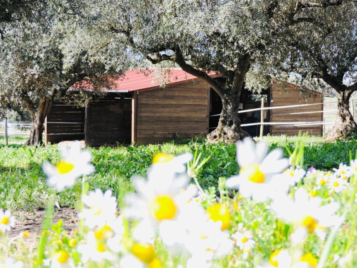 בית הארחה Fundão 	Nogueira Country House מראה חיצוני תמונה