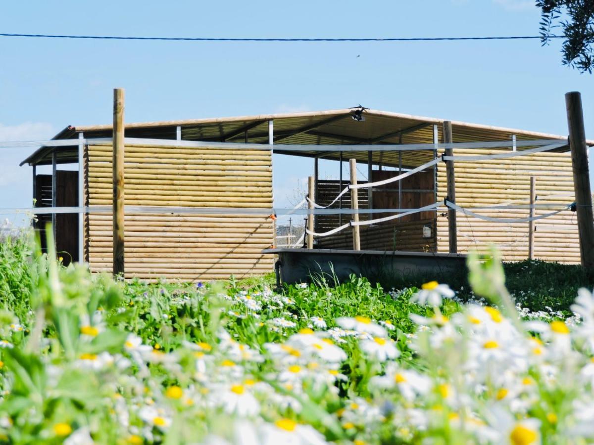 בית הארחה Fundão 	Nogueira Country House מראה חיצוני תמונה